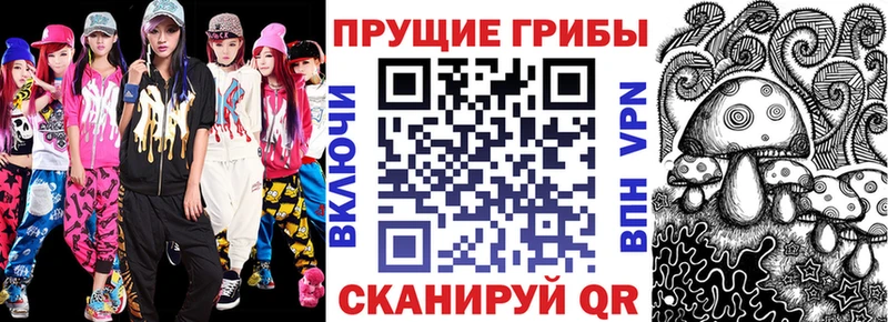 Галлюциногенные грибы мицелий  даркнет сайт  Каменногорск 